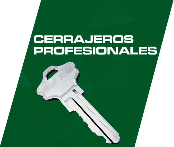 cerrajeros Mojacar profesionales